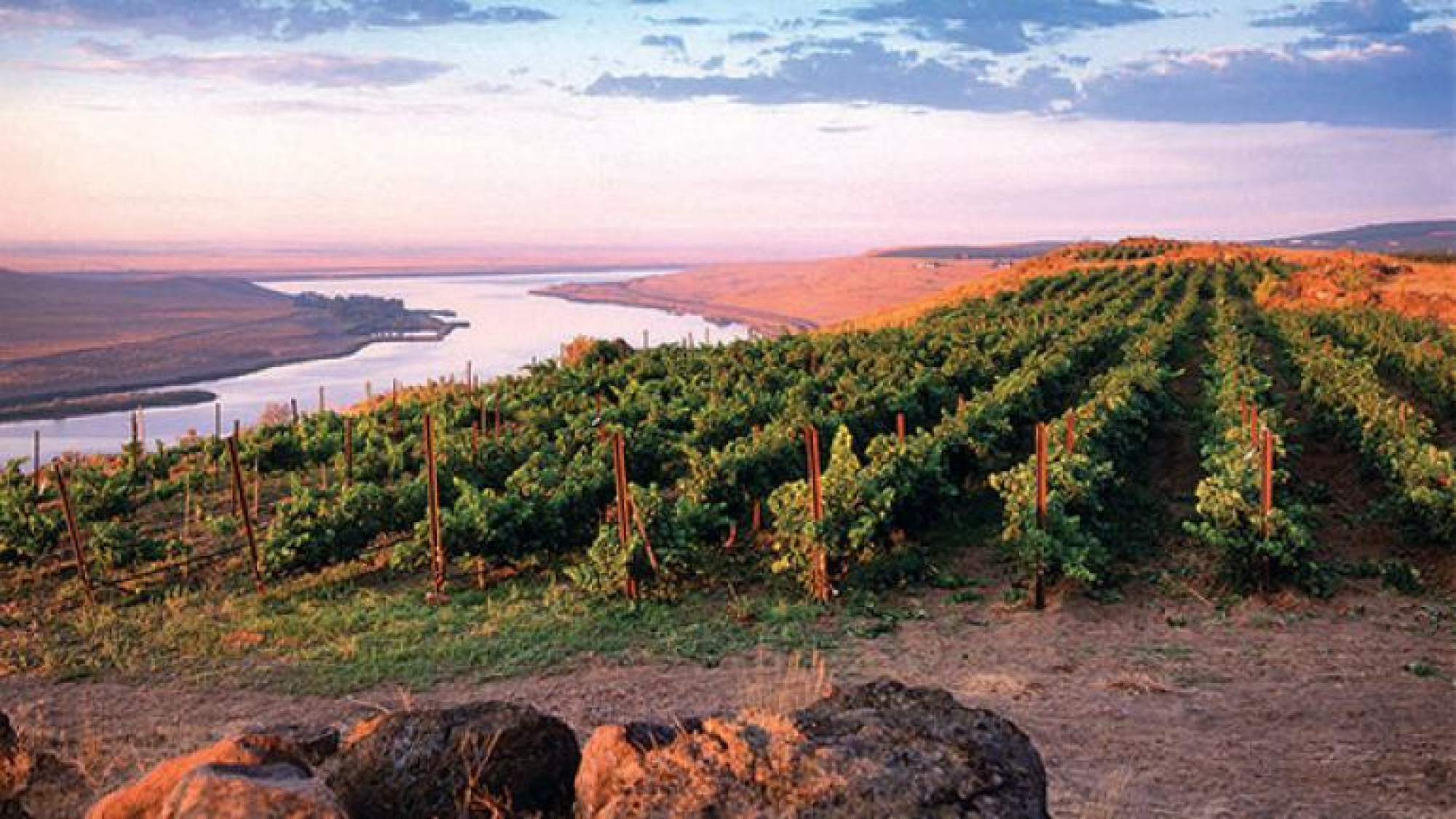 World-Renowned Winery Destination