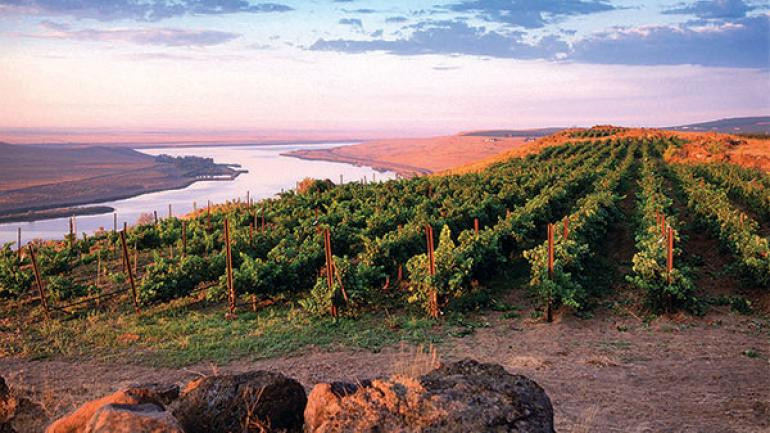 World-Renowned Winery Destination