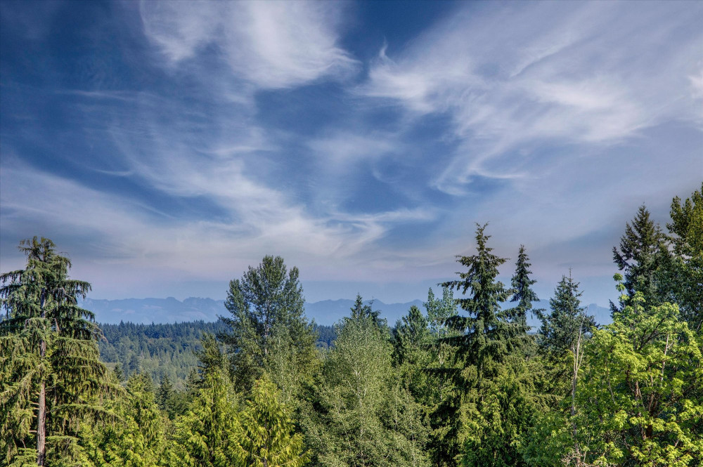 Photo #10 in the Exterior Photos gallery for the Piedmont - Lot 13 home